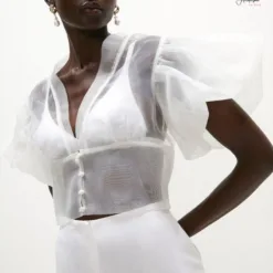 Organza Puff Sleeve Blouse